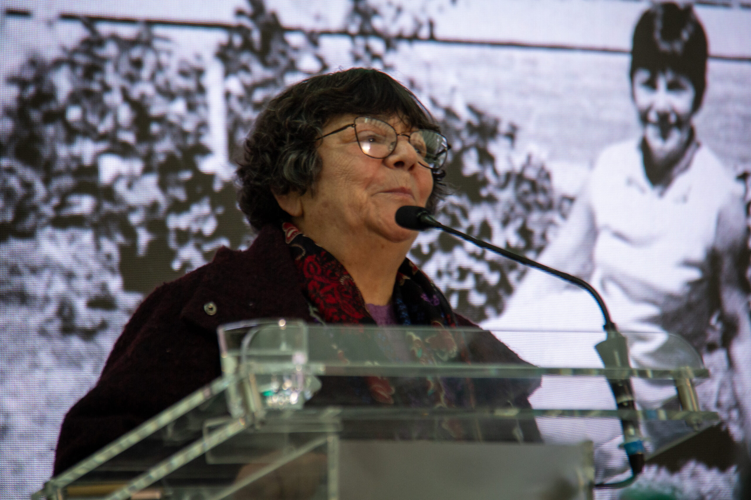 Presidenta de la Agrupación de Familiares de Ejecutados Políticos (AFEP) Alicia Lira Matus recibió el Premio Nacional de Derechos Humanos 2026.